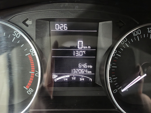 Skoda Rapid Hockey Edition Active, 2017 года, пробег 132059 км