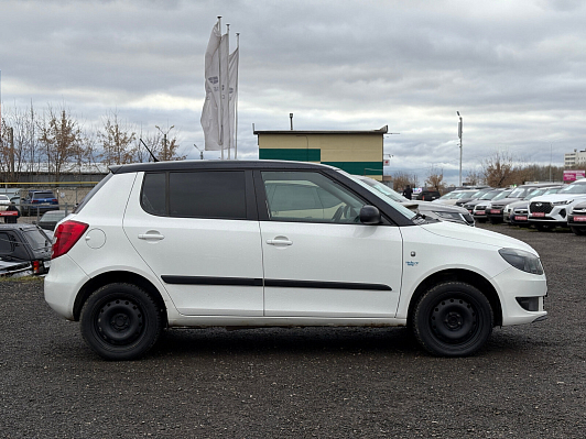 Skoda Fabia Fresh, 2014 года, пробег 135309 км
